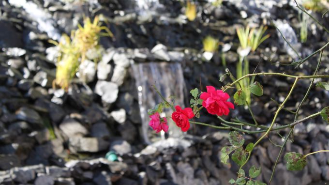 Neu für Sie: Großer Wasserfall hinter dem Haus