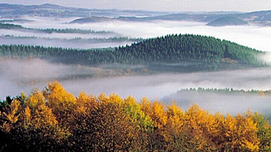 Das Liesertal mit dem beruehmten Wanderweg