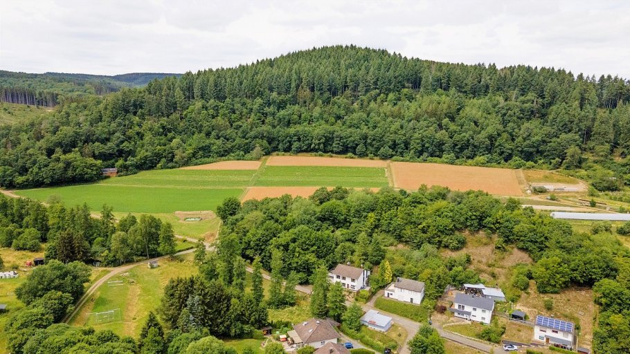 Fewo am Wirschbach, rund um, pure Natur