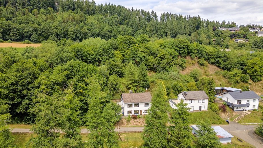 Fewo am Wirschbach, das Haus im Grünen